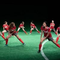 BWW Review: Stray Cat Theatre Presents Sarah DeLappe's THE WOLVES