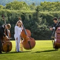 Boston University Tanglewood Institute Announces New Program Offerings And Repertoire Interview