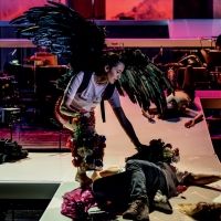 Composer Hans Thomalla and Poet Joshua Clover Release DARK SPRING, A Song-Opera Interview