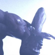 Works & Process At The Guggenheim Announces WPA Virtual Commissions August Premieres