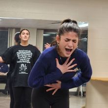 Aspire Performing Arts Will Present INTO THE WOODS in Fair Lawn This Month