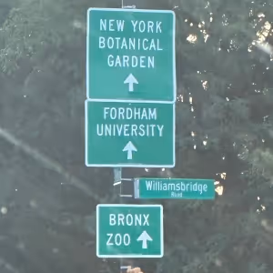 Student Blog: Fordham University Performance Clubs