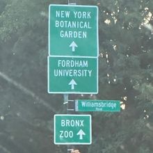 Student Blog: Fordham University Performance Clubs