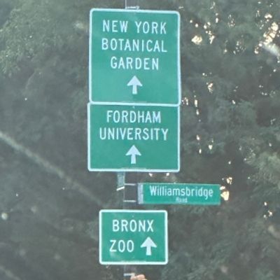 Student Blog: Fordham University Performance Clubs