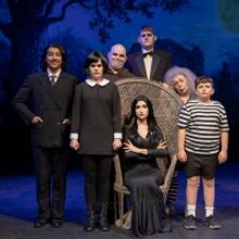 37th Annual Elly Award Ceremony Adult Division Set for Sept 22