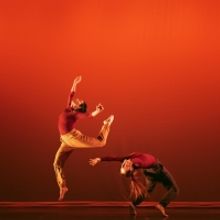 Ariel Rivka Dance Celebrates 15th Anniversary Season With Movement, Film, Text, and L
