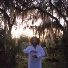 Briars of North America Announces New LP on Brassland