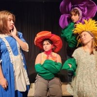 WONDERLAND Comes to The Majestic This Month