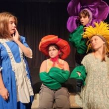 WONDERLAND Comes to The Majestic This Month