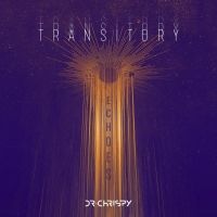 TRANSITORY ECHOES Introduces Six Vibrant New Remixes