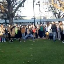 VIDEO: New Zealand Protesters Perform Haka Dance in Honor of George Floyd
