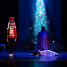 Hyde Park School of Dance to Present THE NUTCRACKER in December