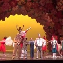 VIDEO: Get A First Look At THE WIZARD OF OZ At Family Performing Arts Center