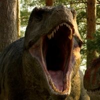Netflix Expands Natural History Slate with Six New Documentary Series