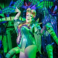 BWW Feature: Our Favourite Outdoor Theatre Memories
