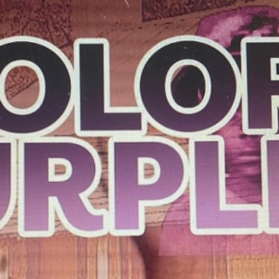 Review: THE COLOR PURPLE at Tempe Center For The Arts