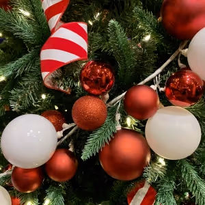 Holiday GIFTS to Delight Friends and Family