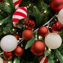 Holiday GIFTS to Delight Friends and Family