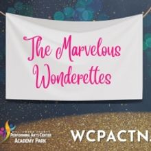 Auditions Announced for THE MARVELOUS WONDERETTES at The Williamson County Performing