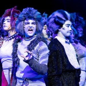Orbit Arts Academy to Present CATS: Young Actors Edition