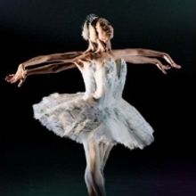 La Compañía Nacional De Danza Reprograma La Gala De Ballet En El Palacio De Bellas 