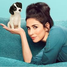 Sarah Silverman Hosts STUPID PET TRICKS on TBS, Discovery, TruTV & Animal Planet