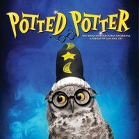 BWW Review: POTTED POTTER at Orpheum Theater