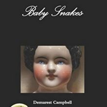 Demarest Campbell's Book 'Baby Snakes' Wins 2019 Pinnacle Achievement Award For Liter