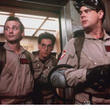 The McCoy Center Will Present a Halloween Screening Of GHOSTBUSTERS