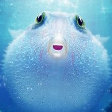 VIDEO: Netflix Debuts PUFF: WONDERS OF THE REEF Trailer