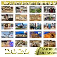 American Art Awards Announces The 25 Best Galleries & Museums For 2020