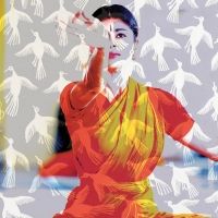 The SPCO's Liquid Music Series Presents Ashwini Ramaswamy - LET THE CROWS COME