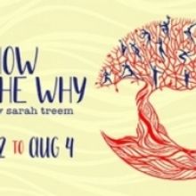 SINGULAR STORIES: A Festival Of Solo Shows Arrives At The Dragon Theatre In Redwood C