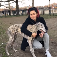 What are Broadway Performers and Their Pets Doing with Their Time?