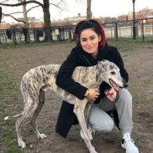 What are Broadway Performers and Their Pets Doing with Their Time?