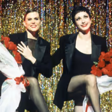 Bebe Neuwirth, James Naughton, and More Will Reunite For CHICAGO 30th Anniversary Cel