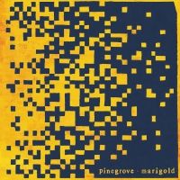 Pinegrove Announces New Album MARIGOLD