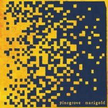Pinegrove Announces New Album MARIGOLD