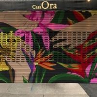 CASA ORA in Williamsburg Announces Live Art Event Friday, 10/22 from 2-7pm