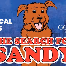 Goodspeed Musicals Launches National Search for Shelter Dog to Star in ANNIE