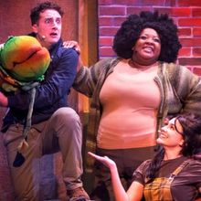 Review: LITTLE SHOP OF HORRORS at Theatre In The Park (Indoors)