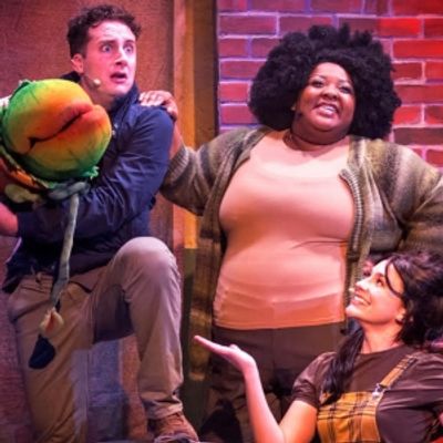 Review: LITTLE SHOP OF HORRORS at Theatre In The Park (Indoors)