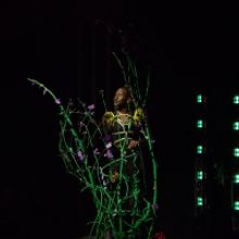 BWW Review: HEAD OVER HEELS  at Monumental Theatre Company