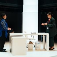 Guest Blog: Playwright Michele Lee on RICE at the Orange Tree Theatre