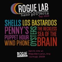 Rogue Artists Ensemble Launches 2020 'Rogue Lab Nano Projects'