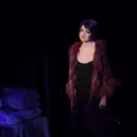VIDEO: Watch Barrett Wilbert Weed Sing 'Maybe This Time' From Signature Theatre's… Video