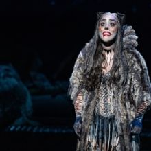 Review: CATS at National Theatre