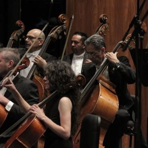 Exitoso Debut De La Violista Mexicana Dana Zemtsov Con La Orquesta Sinfónica Nacional