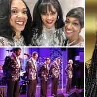 BWW Feature: MOTOR CITY NIGHTS at M Pavilion Stage At The M Resort Spa And Casino