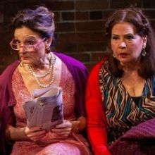 Review: THE OLDEST PROFESSION at Burbage Theatre Company
